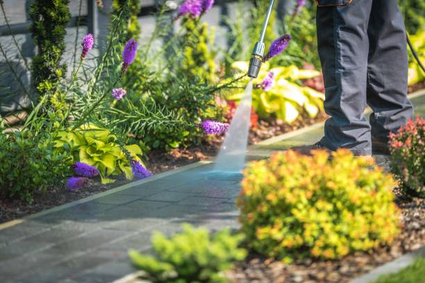Best Driveway Pressure Washing  in Oill, NE